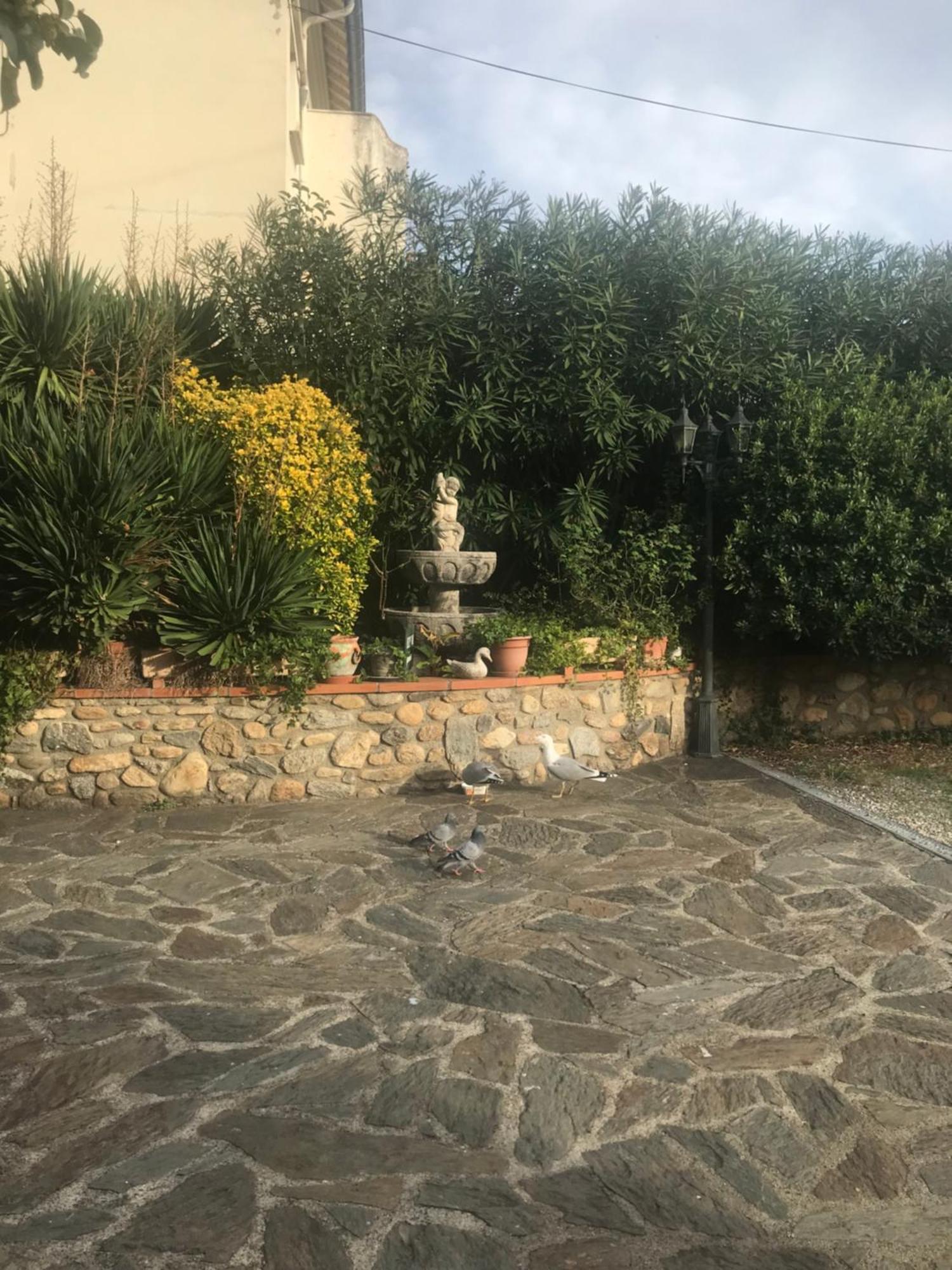 Hebergements A La Rive, Accueil Ouvert Tous Les Jours Jusqu'A 20H00 Dernier Delai, Depuis 30 Ans ! Reserver Ici Svp ! Merci ! Aucun Reglement A Distance Accepte, Paiement Par Cb, Especes, Cheque Ou Cheques-Vacances Imperativement A La Remise Des Clef Amelie-les-Bains-Palalda Luaran gambar